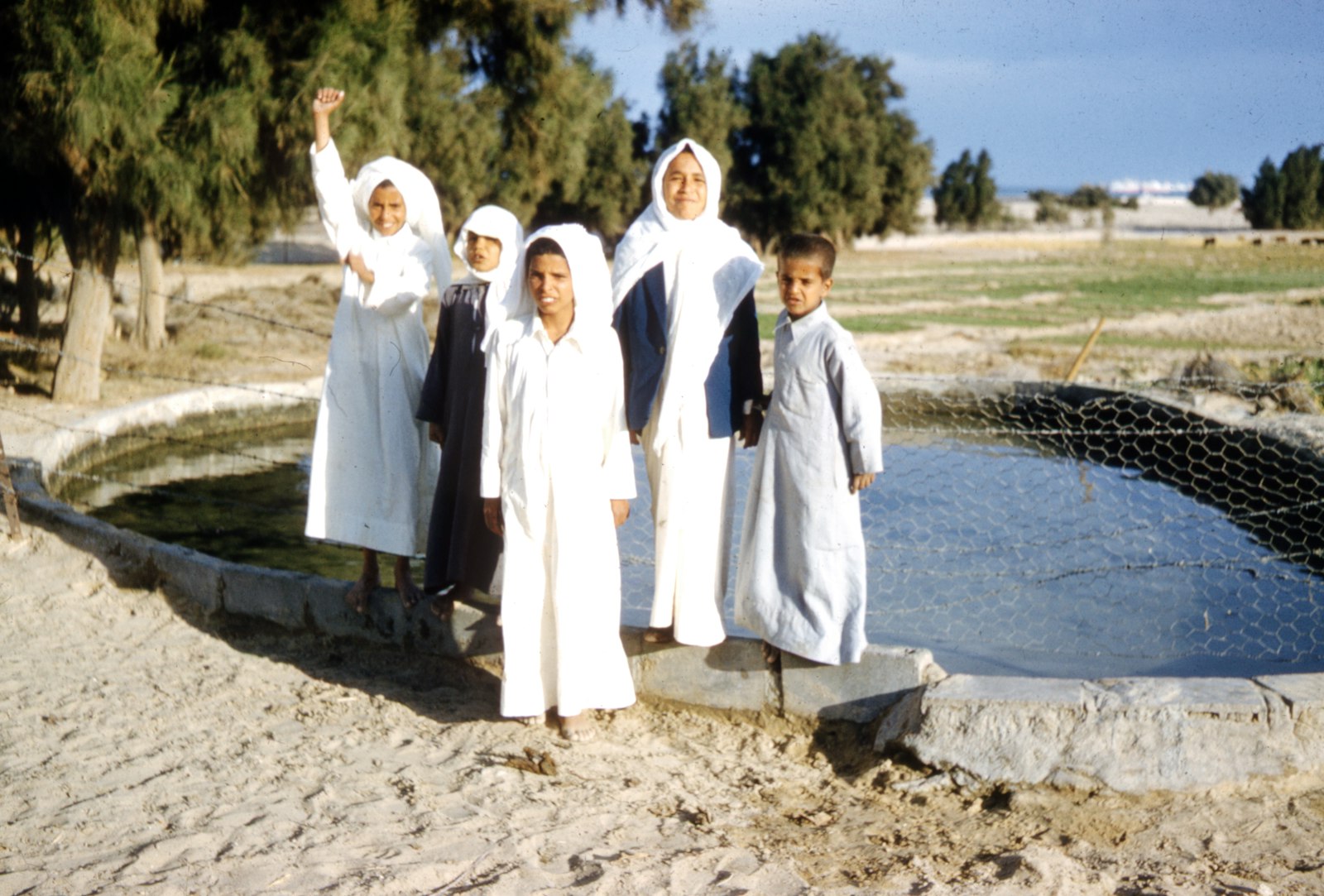 مجلس الحكاية